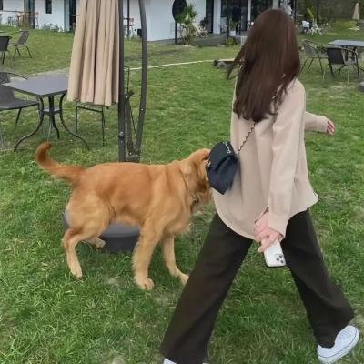 英雄正传